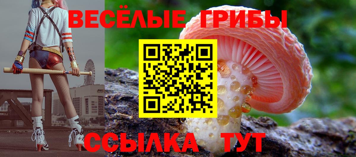 Псилоцибиновые грибы прущие грибы Новокубанск